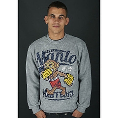 sweatshirt WARRIORS Gray1