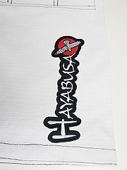Hayabusa ½À½Ñ°á ¥º¥Ü¥ó