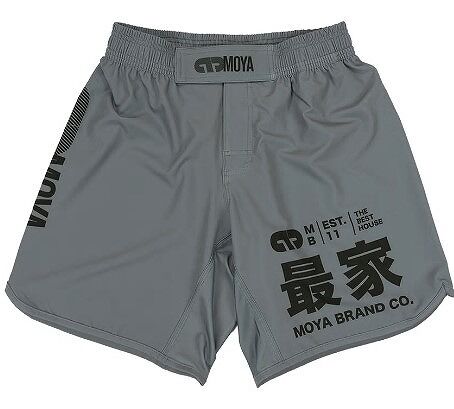 ARTIKA TRAINING SHORT1