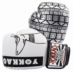 Anubis Muay Thai Boxing Gloves 1