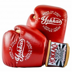 Vintage Boxing Red Gloves1