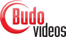 budovideoslogo