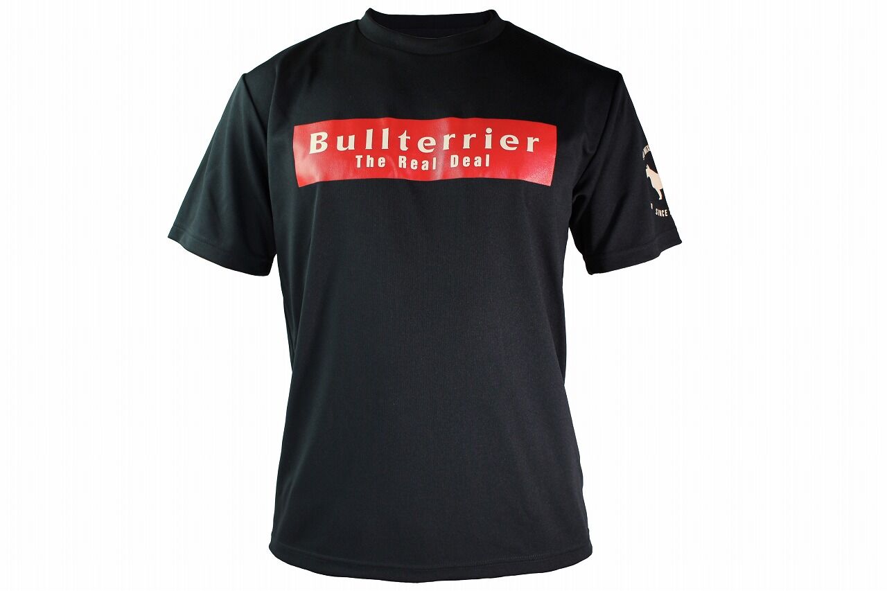 btdryteebasiclogo_blk_4