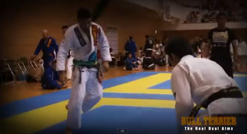 btpv2013