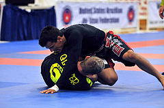 cobrinhanogi2008