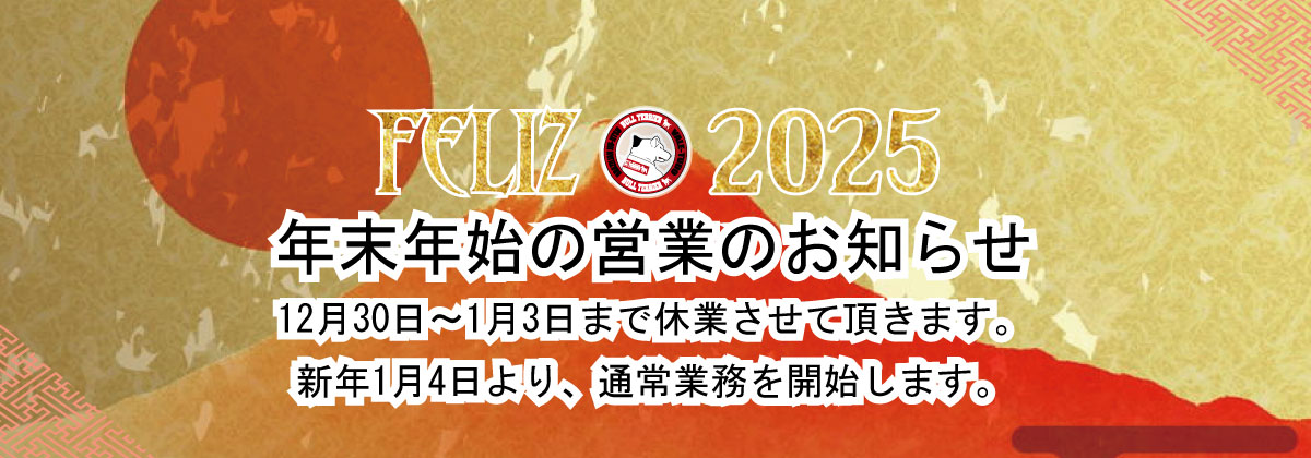 nenmatsunenshi2025m