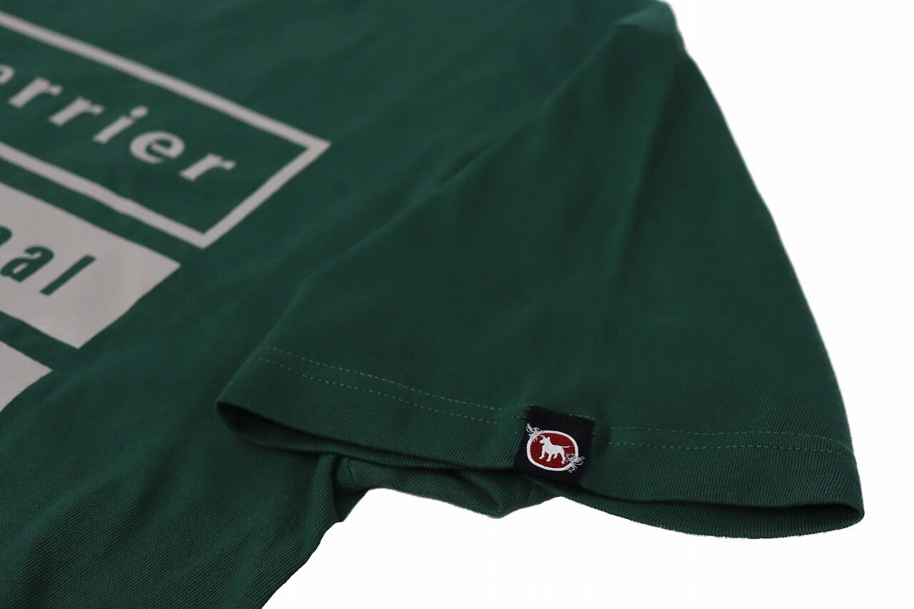 bt4boxtee_green_4