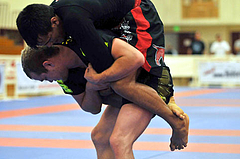 cobrinhanogi2008_2