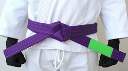 BOREALIS Purple belt 1