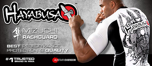 Overeem_Mizuchi_800x350