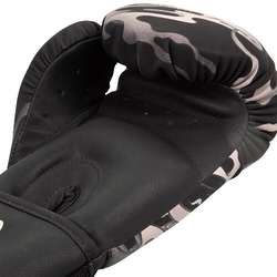 dragons_flight_black_sand4