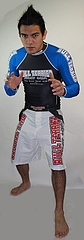 Bull Terrier Fight Gear