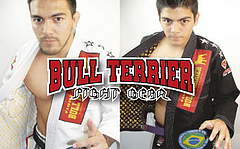 Bull Terrier Fight Gear
