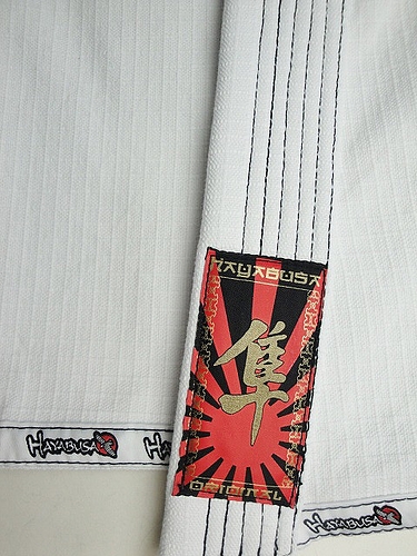 Hayabusa ½À½Ñ°á ¥¿¥°