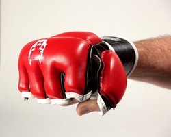 Red Line Full Protect MMA Gloves 2