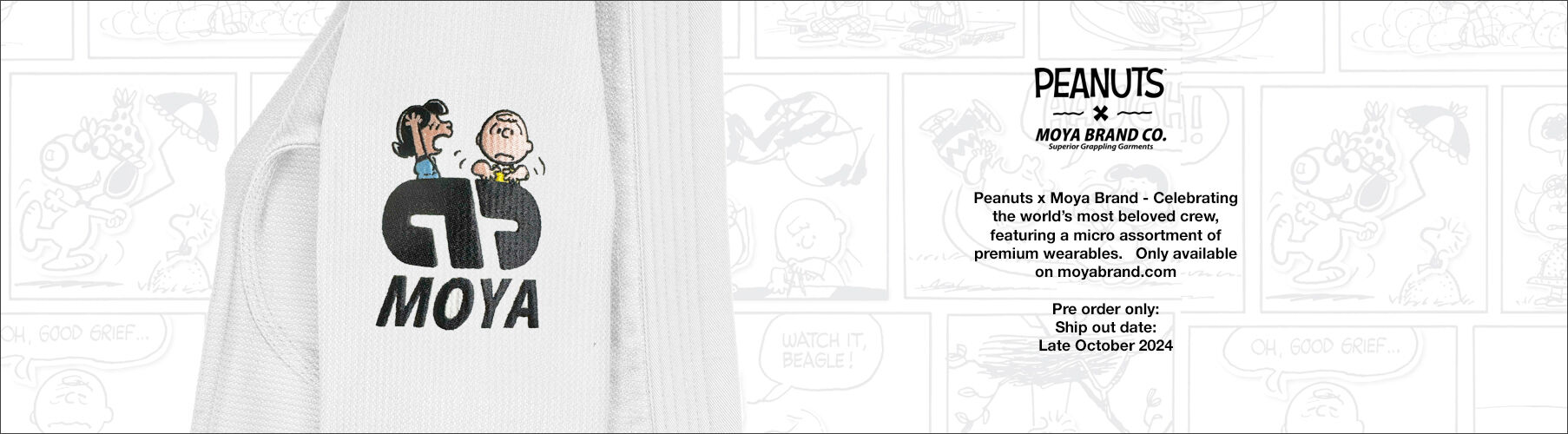 peanuts_x_moya24_banner