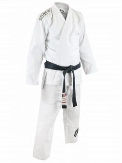 Shield Pearl Gi 1