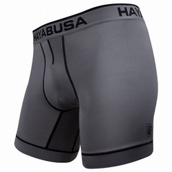 Performance Underwear grey 1a