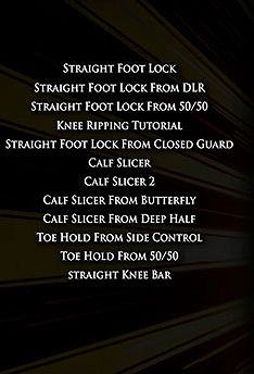 ibjjflegalleglock2_2