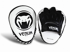Punch Mitts