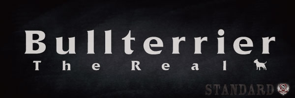 rush_banner