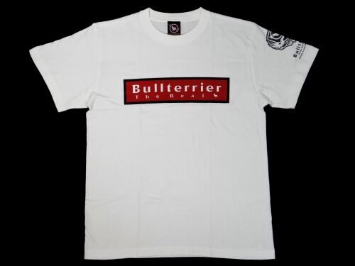 t_shirts_box_white001