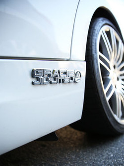 j3D_Metal_Gracie_Jiu_Jitsu_Auto_Emblem2