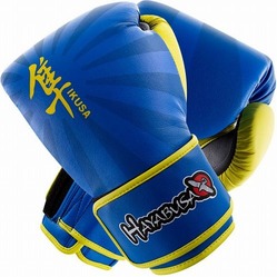 Hayabusa Ikusa Colors 16oz Gloves Electric Blue1