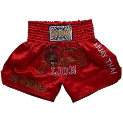 muay thai lion 7