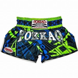 CarbonFit Sick BlueGreen Shorts 1