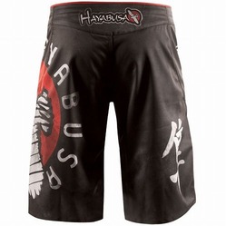Spirit of the Fighter Shorts 3a