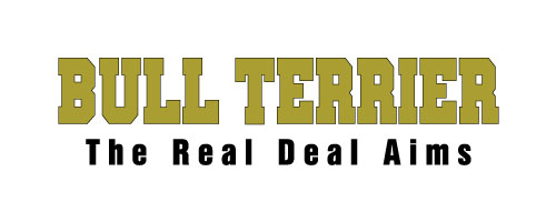 btlogo