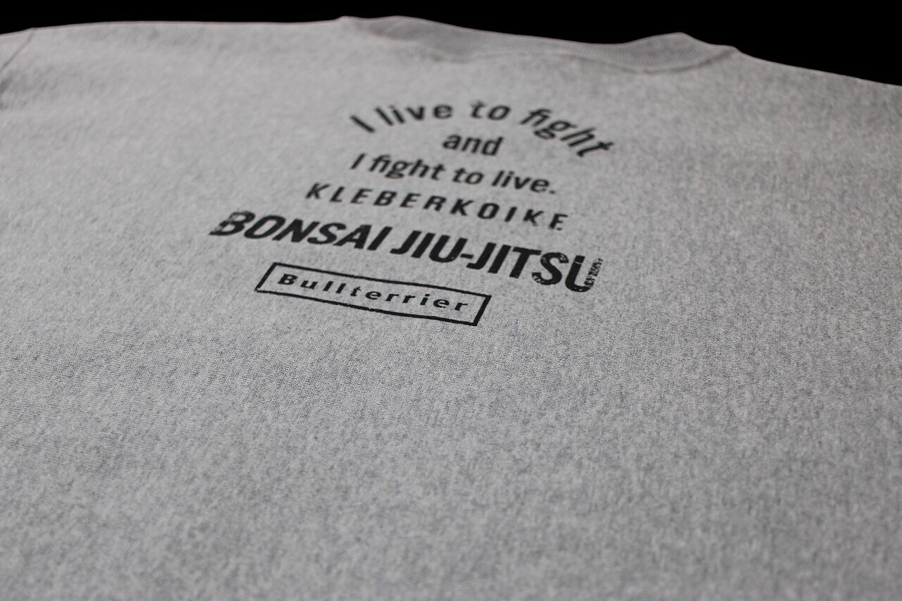 btklebername_swt_gry4