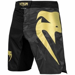 Light 30 Fightshorts Black Gold 1