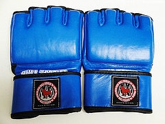 Bull Terrier Fight Gear