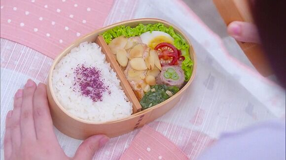 ハルとアオのお弁当箱 ぶーぶー 昔ドラマー今 ｍｒ ドローン