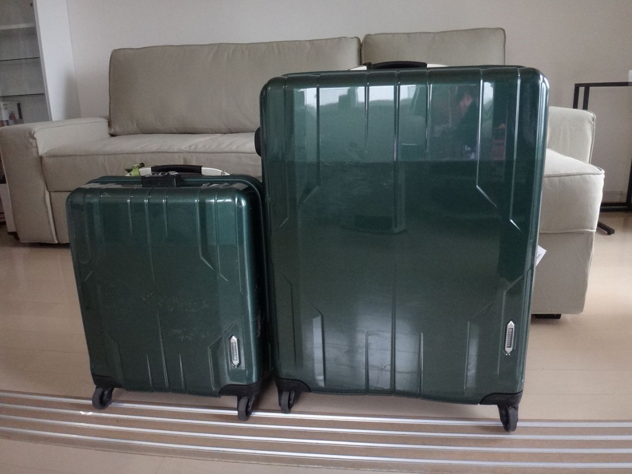 スーツケース追加購入。ACE ProtecA STARIA EX - ばぶらのローエミッション生活