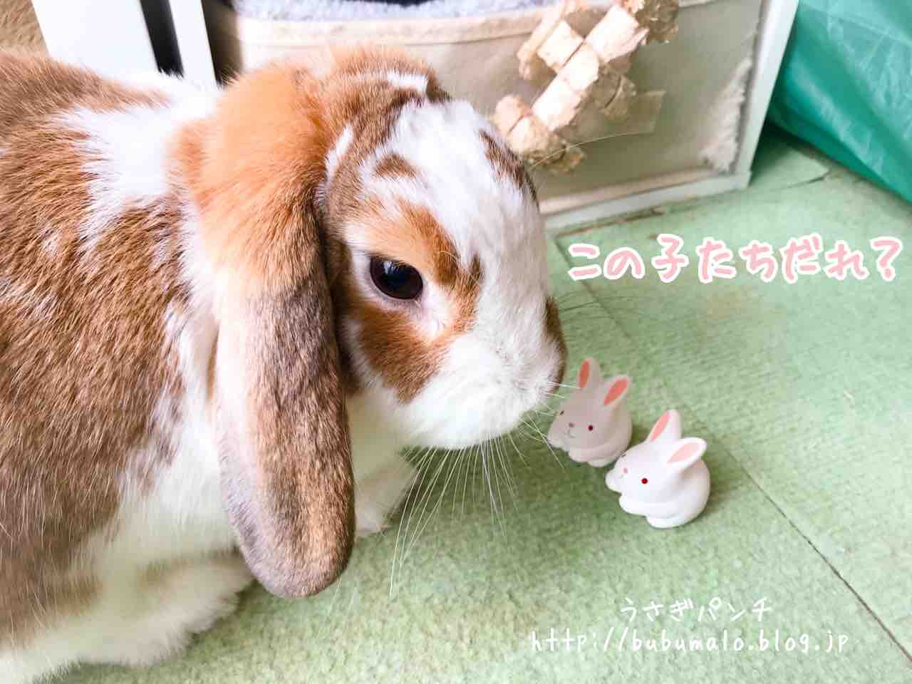 うさぎ神社 うさぎがいっぱい 京都 岡崎神社 うさぎパンチ