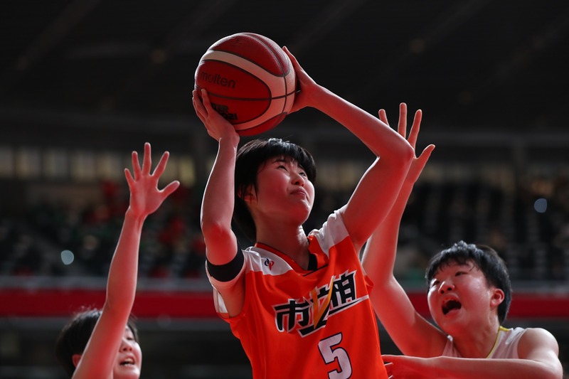 市柏5