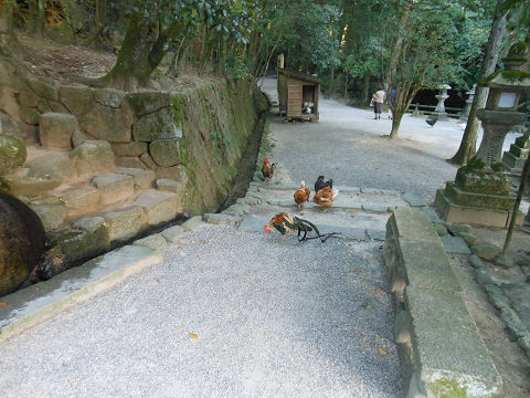 石上神宮を去る - 鶏、牛の像、ワカタ、そして柿本人麻呂　まだまだ話題豊富な古社【古事記紀行2014】のキャプチャー