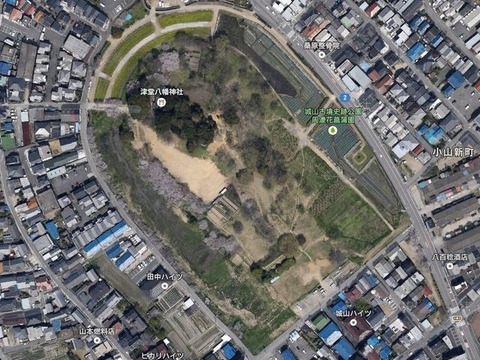 津堂城山古墳(大阪府・藤井寺市) by Googleアース - ぶっちゃけ古事記
