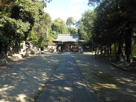 伊射奈岐神社 正面の鳥居をくぐって境内を望む - ぶっちゃけ古事記