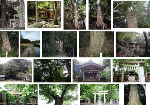 嶋大國魂御子神社　長崎県対馬市上県町佐須奈のキャプチャー