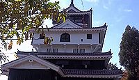岩国城 周防国(山口県岩国市) - サムネイル写真