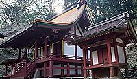 巨田神社　宮崎県宮崎市佐土原町上田島のキャプチャー