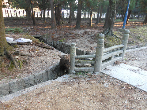 春日大社の参道、馬出橋と鹿 - ぶっちゃけ古事記