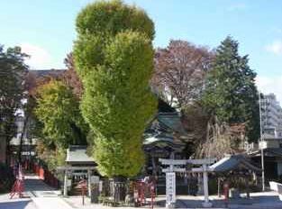 「川越八幡宮で古事記を学ぼうコン」という寺社好き男女の婚活企画、2014年12月20日開催のキャプチャー