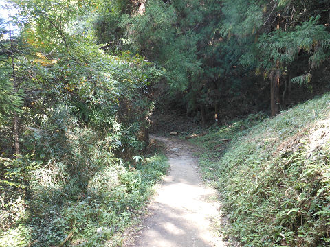 山辺の道（山の辺の道） 大神神社から檜原神社までの一角 - ぶっちゃけ古事記