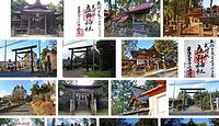 立野神社　茨城県常陸大宮市上小瀬の御朱印