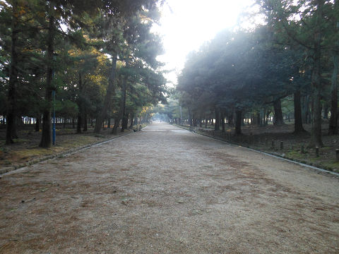 春日大社の一之鳥居から続く参道 - ぶっちゃけ古事記